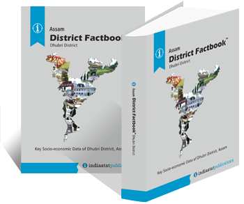 Assam District Factbook : Dhubri District