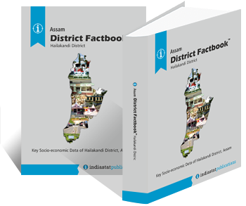 Assam District Factbook : Hailakandi District