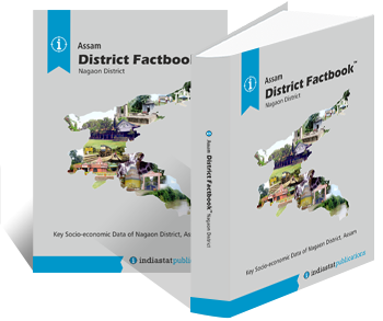 Assam District Factbook : Nagaon District