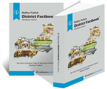 Madhya Pradesh District Factbook : Mandsaur District