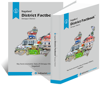 Nagaland District Factbook : Dimapur District