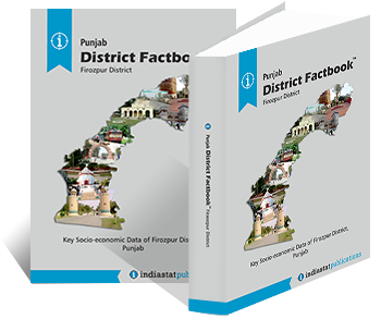 Punjab District Factbook : Firozpur District